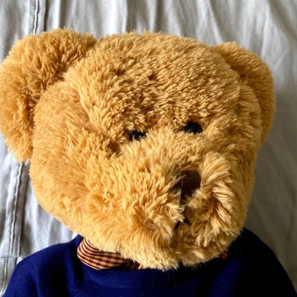 John Hancock Teddy Bear w/ Sweater 13" Plush Stuffed Toy New - Picture 2 of 9